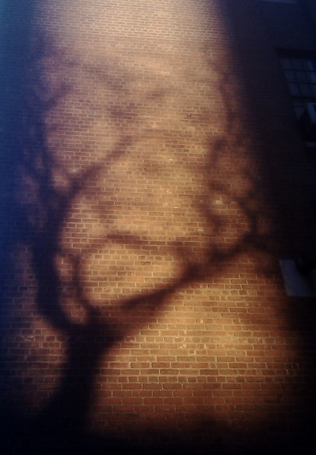 IMAG0358mod.jpg
