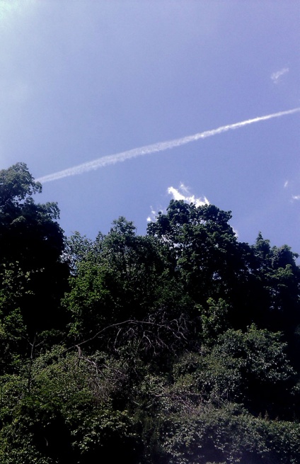 IMAG0588s.jpg