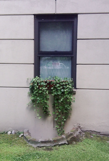 IMAG0590s.jpg