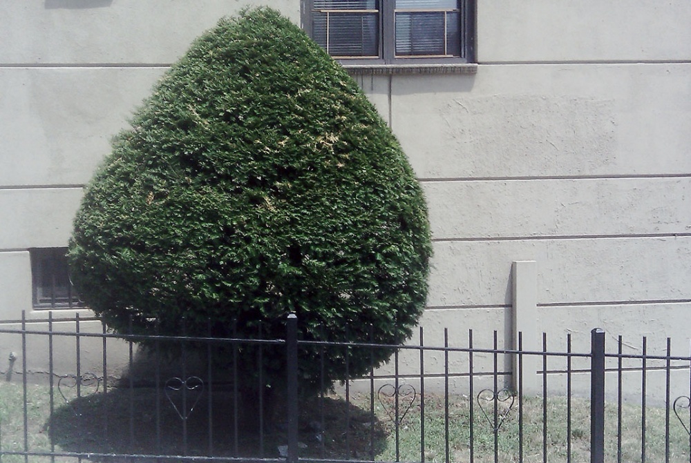 IMAG0677s.jpg