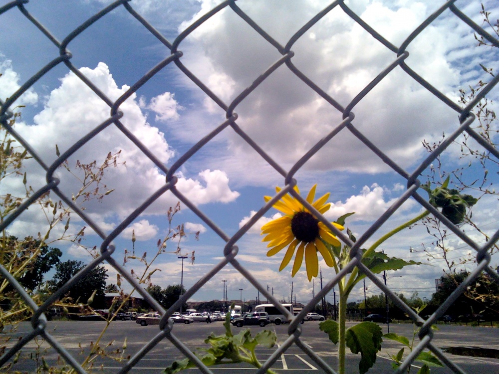 0624001340.jpg