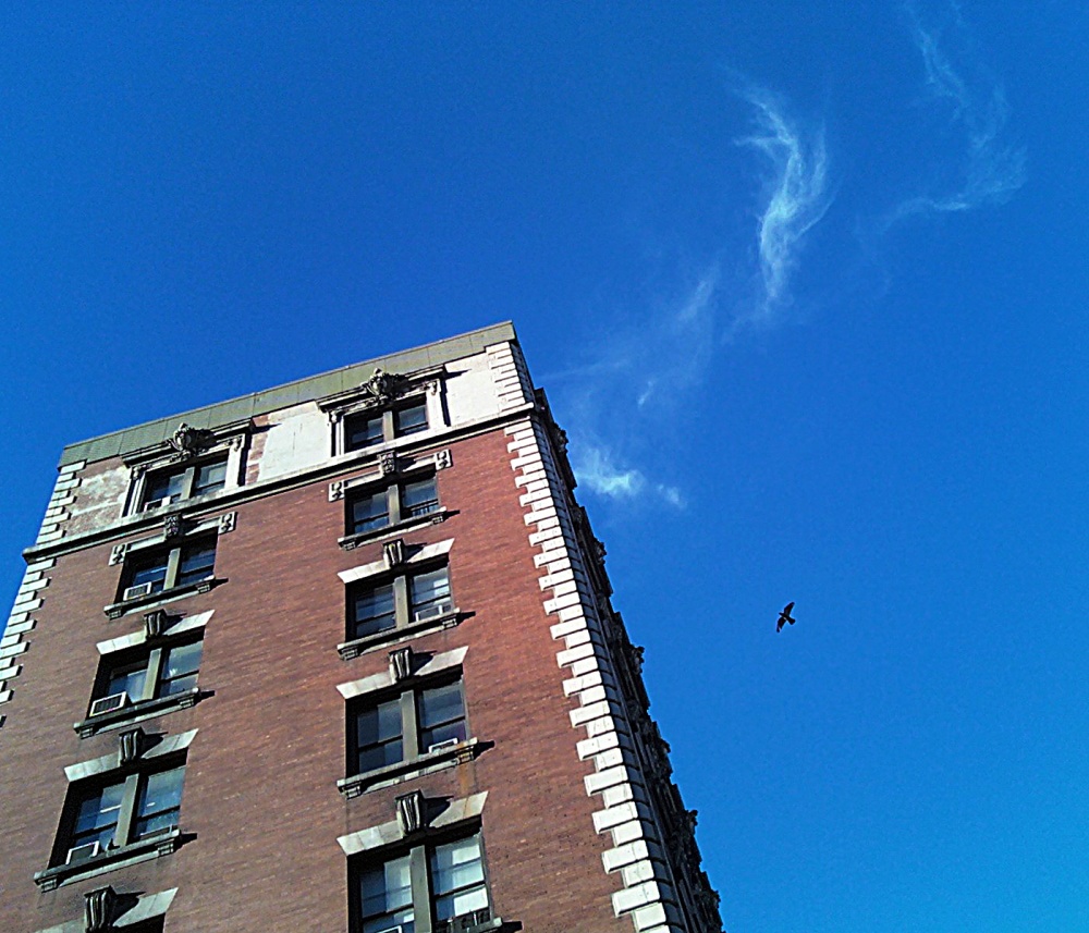 0827001821.jpg
