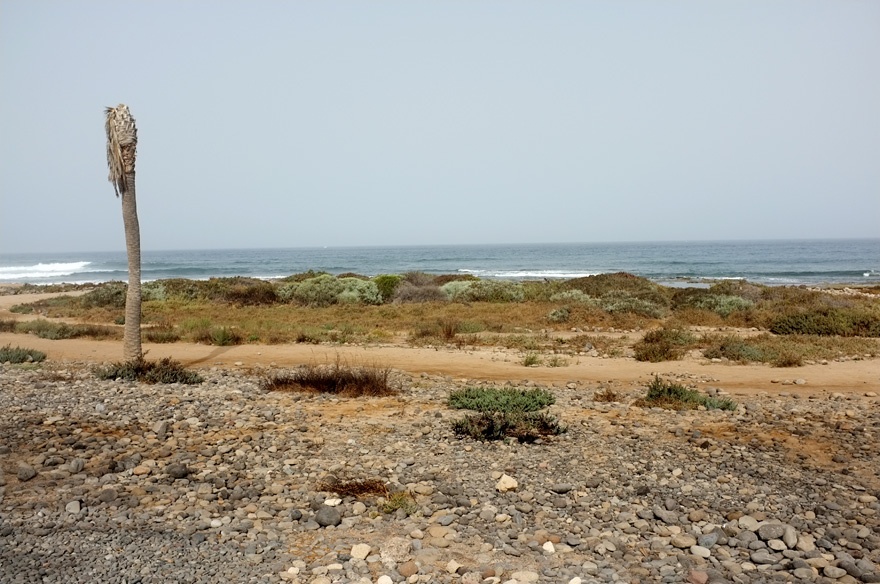 Playa13.jpg