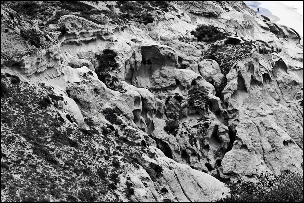 50D.TORREYPINES.091509_090915_0024.v21.jpg