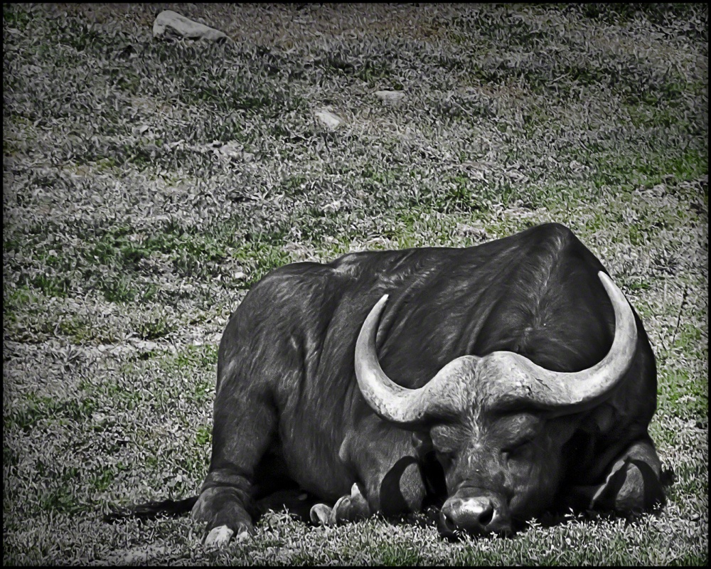 50D.032610.WAP_0015.v2.jpg