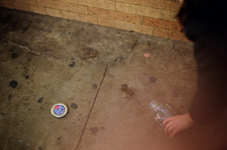 Briant09.jpg